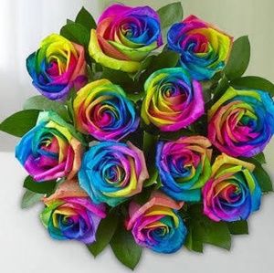 Meet your Posher, Dion